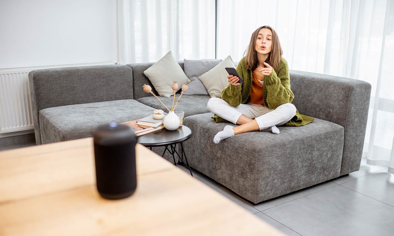 Smart Living - voice control Sofa
