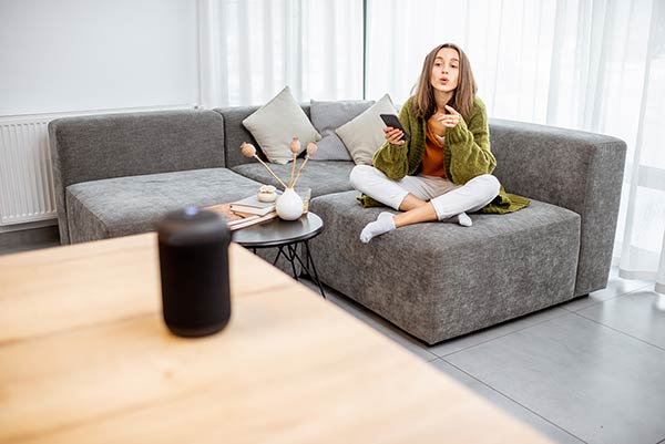 Smart Living - voice control Sofa
